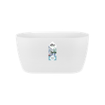 brussels orchidée duo 25cm blanc